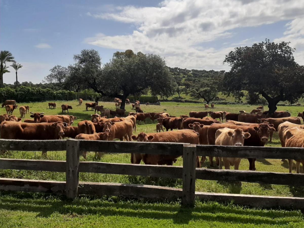 Alojamiento Rural Finca Barral El Garrobo Екстер'єр фото