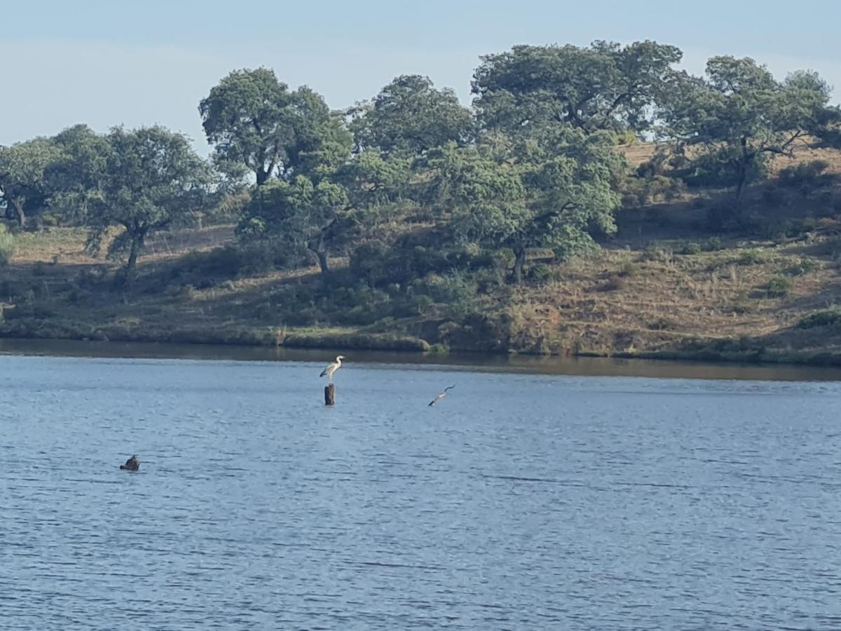 Alojamiento Rural Finca Barral El Garrobo Екстер'єр фото
