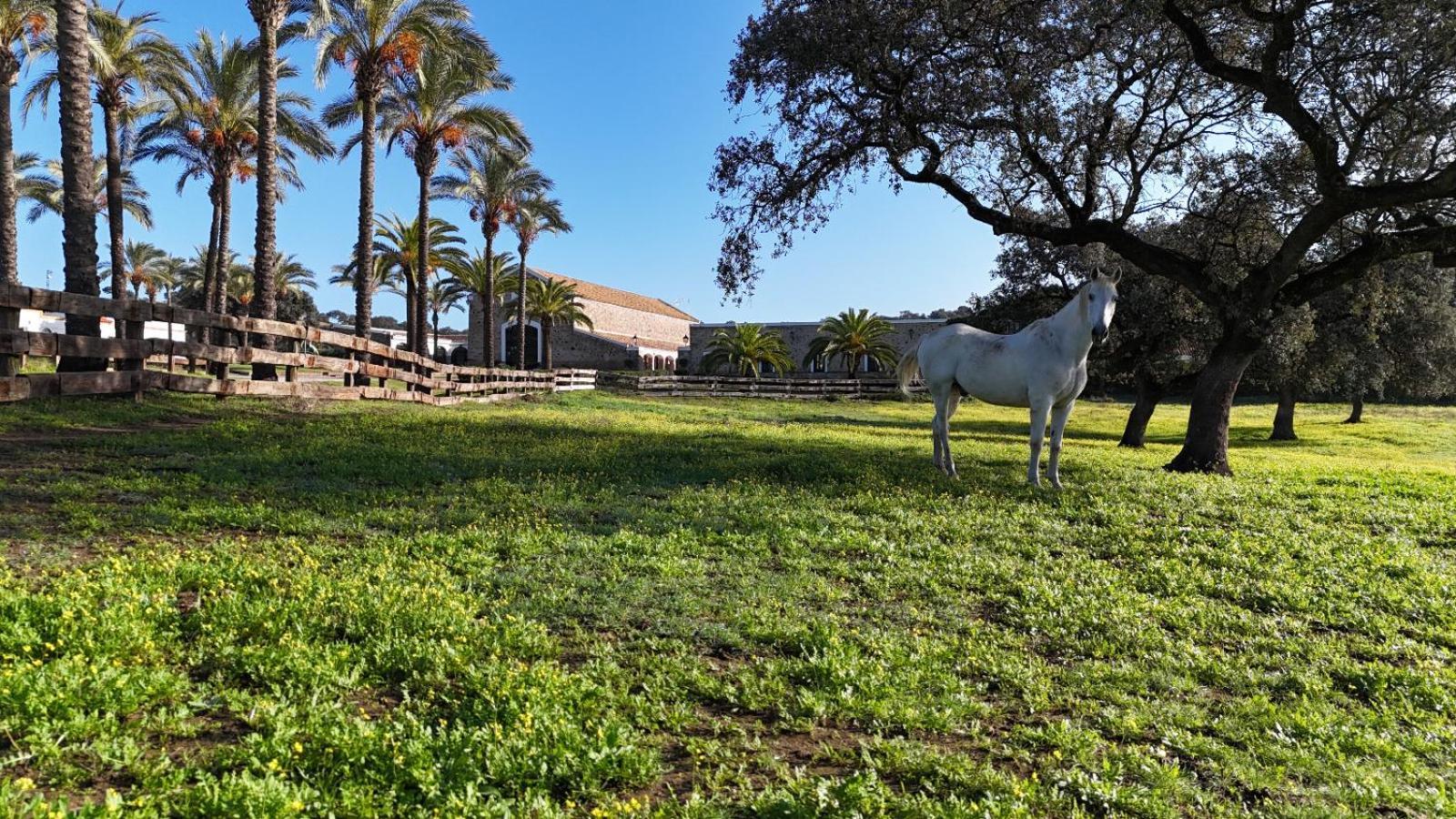 Alojamiento Rural Finca Barral El Garrobo Екстер'єр фото