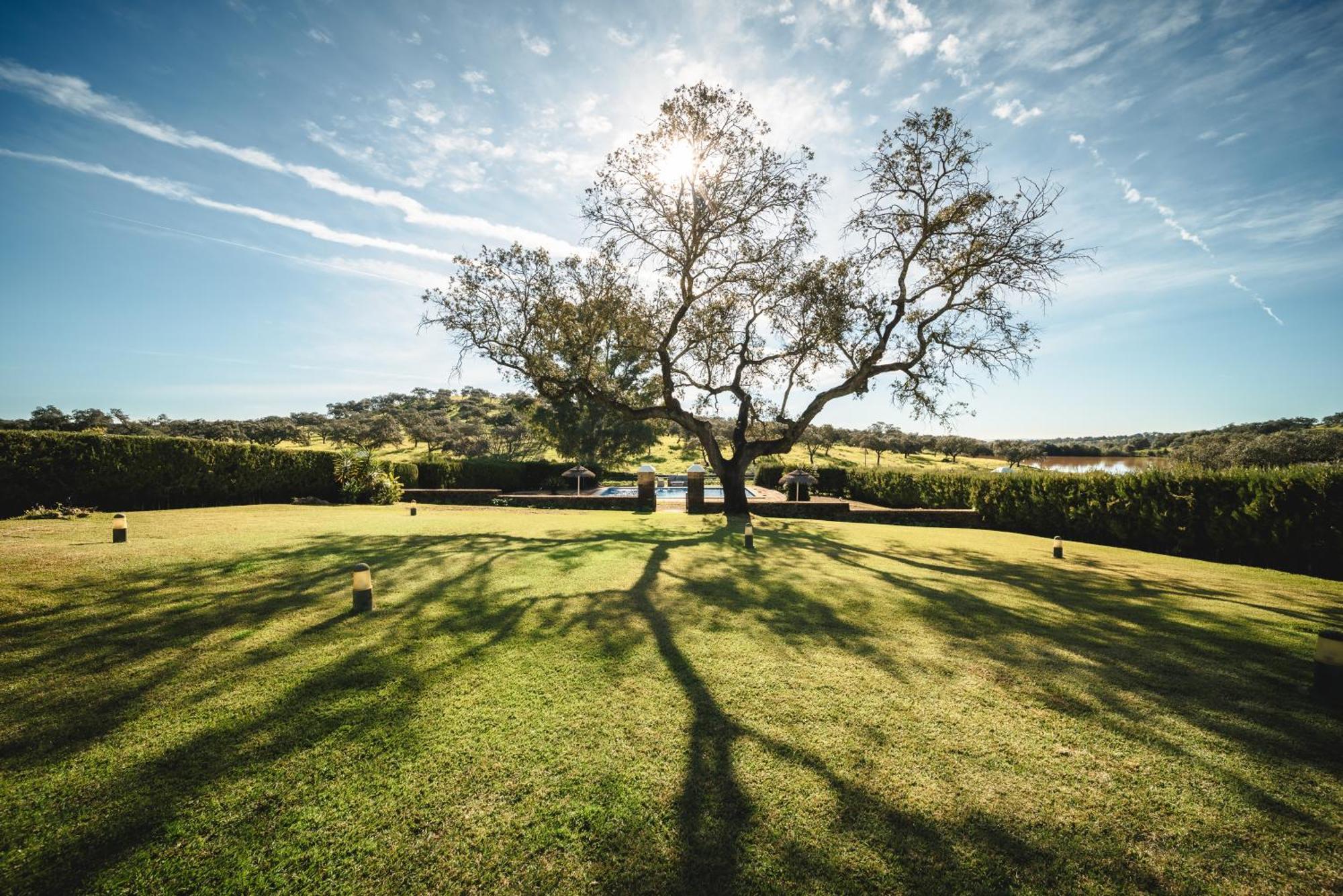 Alojamiento Rural Finca Barral El Garrobo Екстер'єр фото