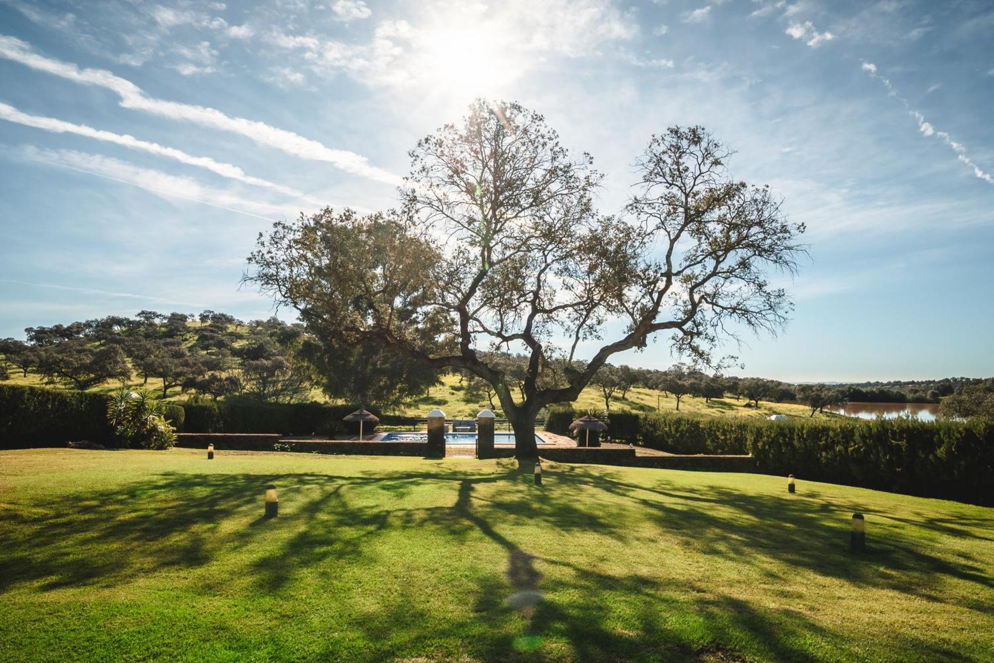 Alojamiento Rural Finca Barral El Garrobo Екстер'єр фото