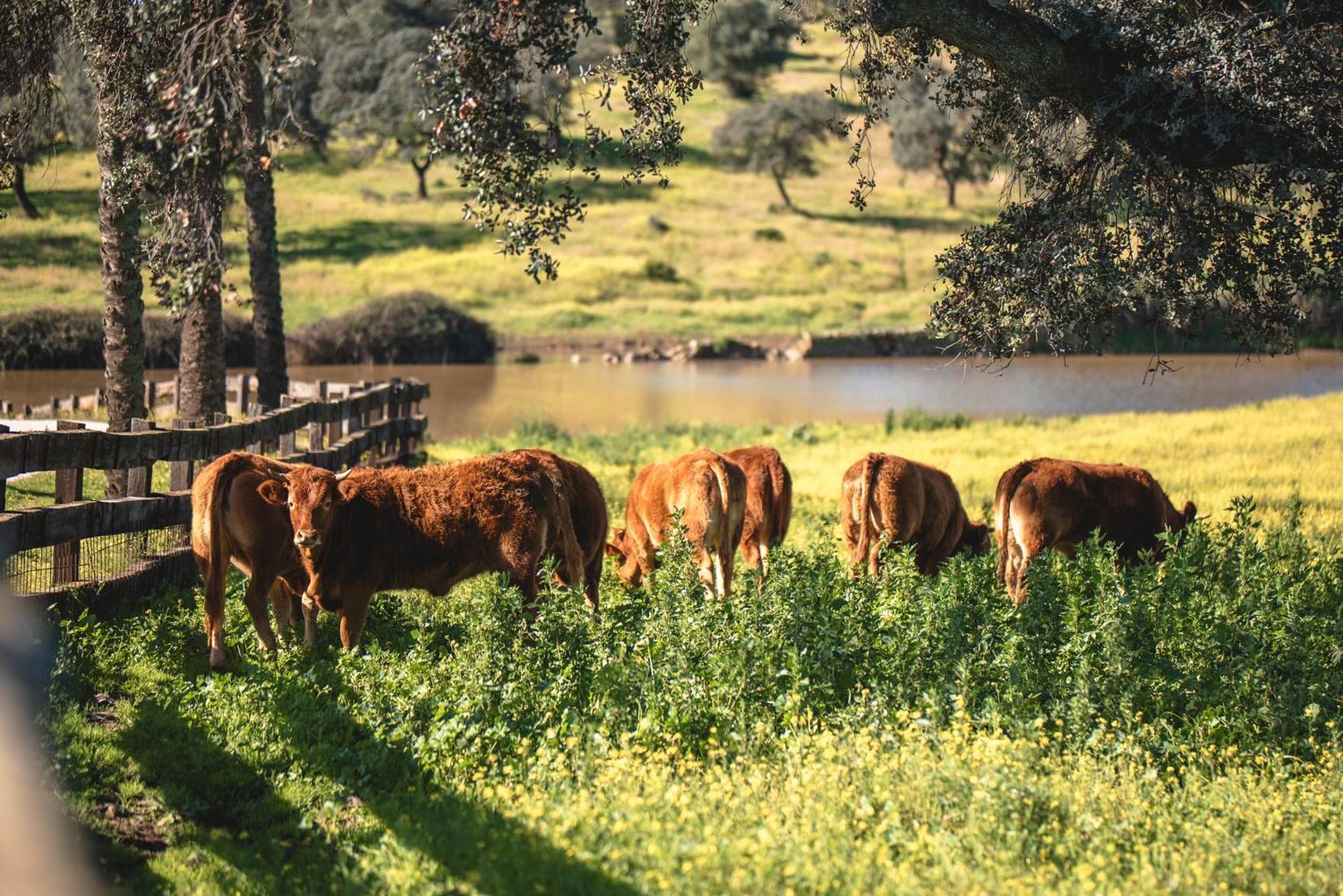 Alojamiento Rural Finca Barral El Garrobo Екстер'єр фото