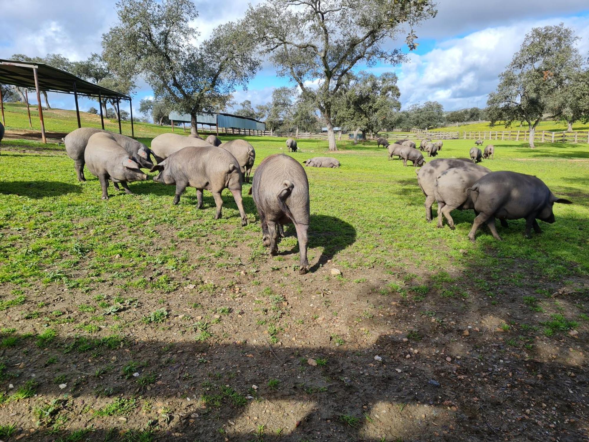 Alojamiento Rural Finca Barral El Garrobo Екстер'єр фото