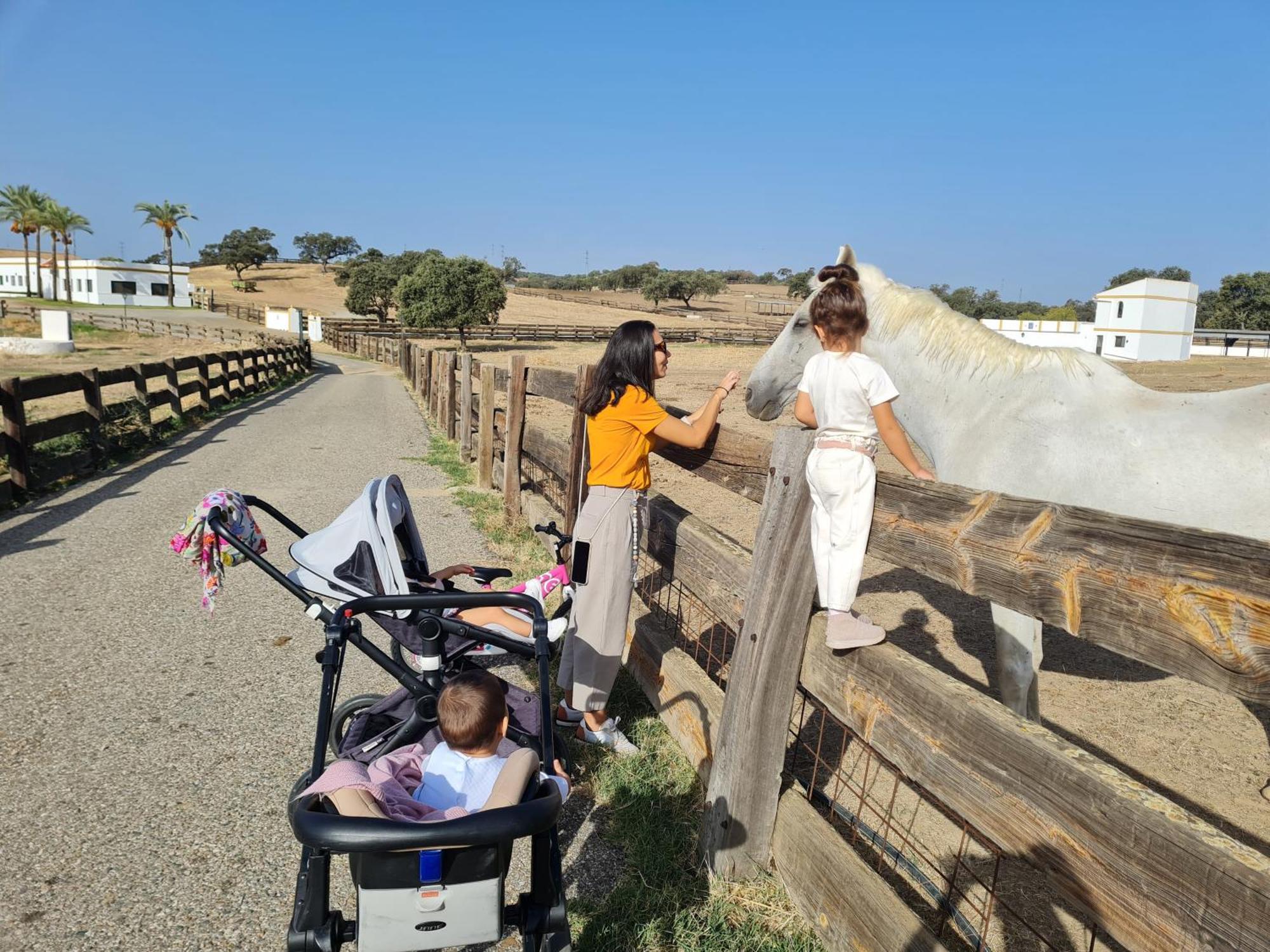 Alojamiento Rural Finca Barral El Garrobo Екстер'єр фото