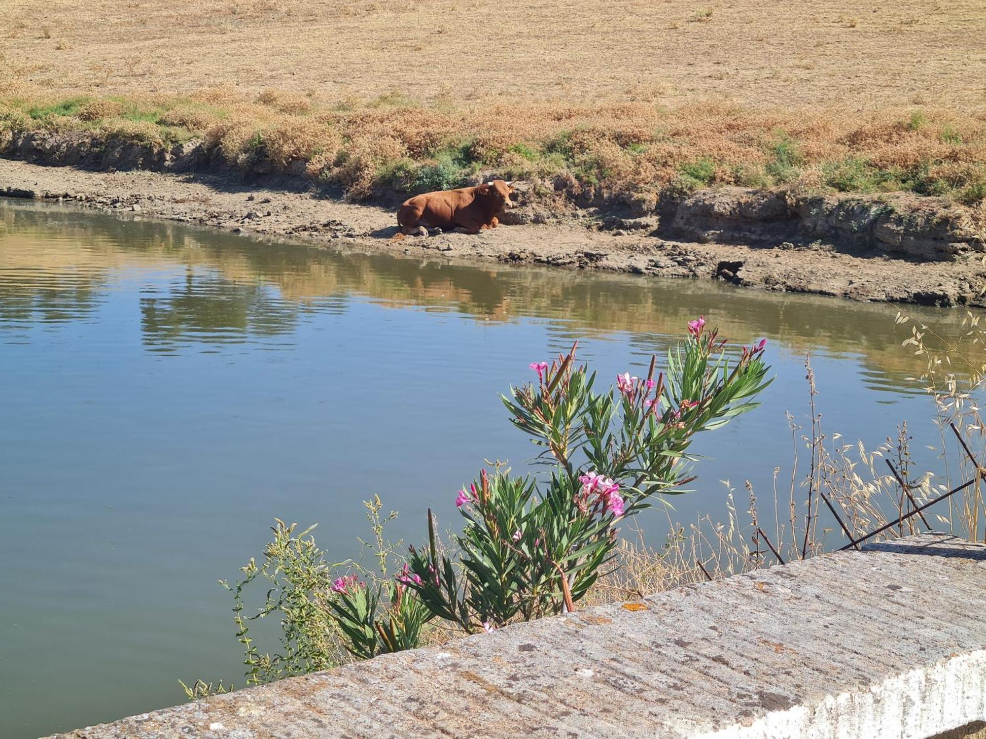 Alojamiento Rural Finca Barral El Garrobo Екстер'єр фото